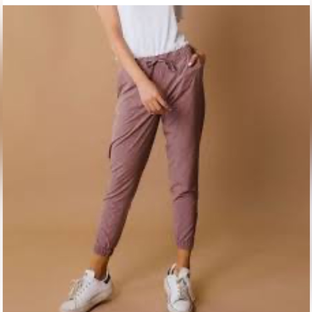 Albion Jetsetter joggers